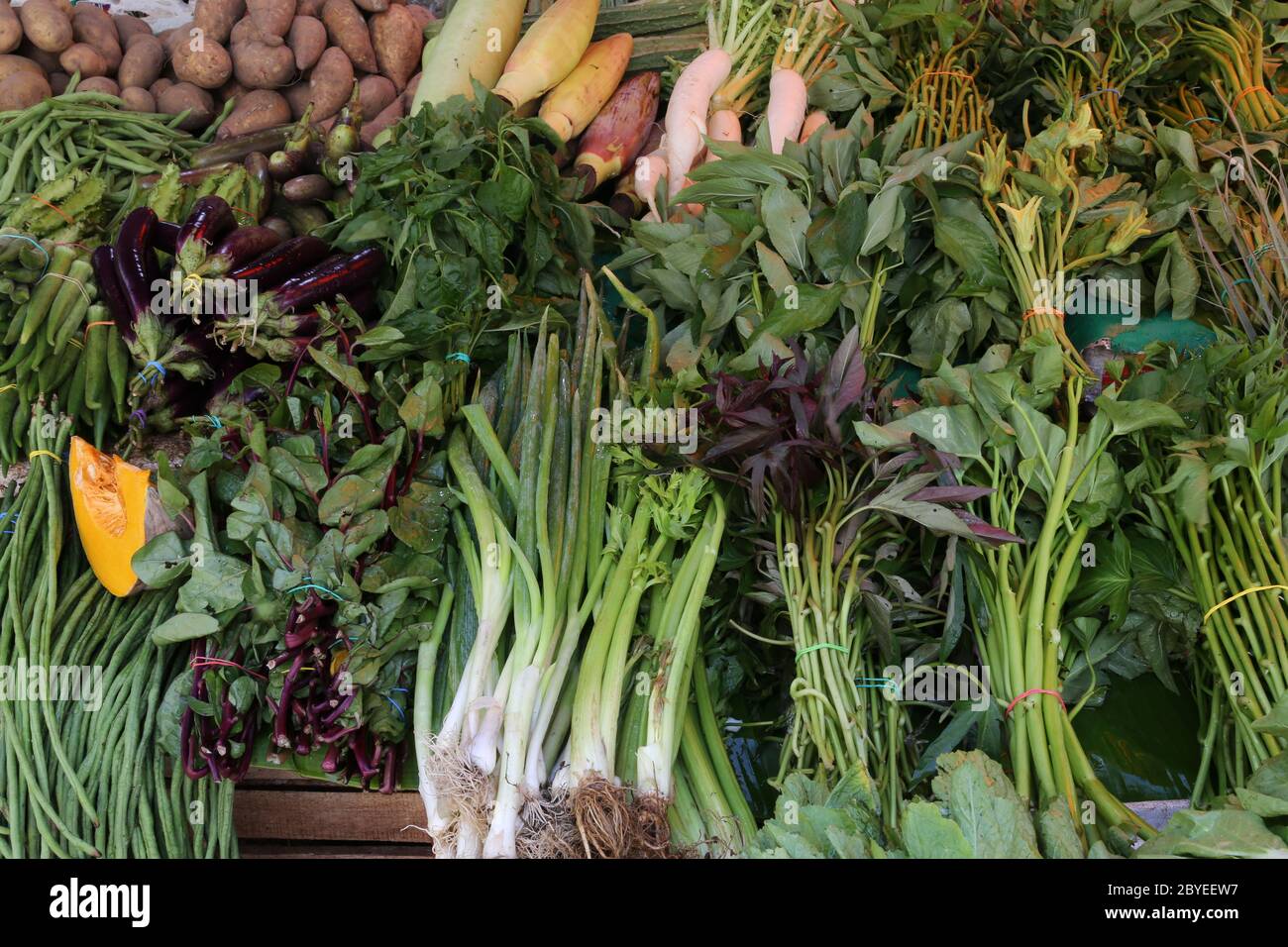 Fresh Vegetables Philippines High Resolution Stock Photography and
