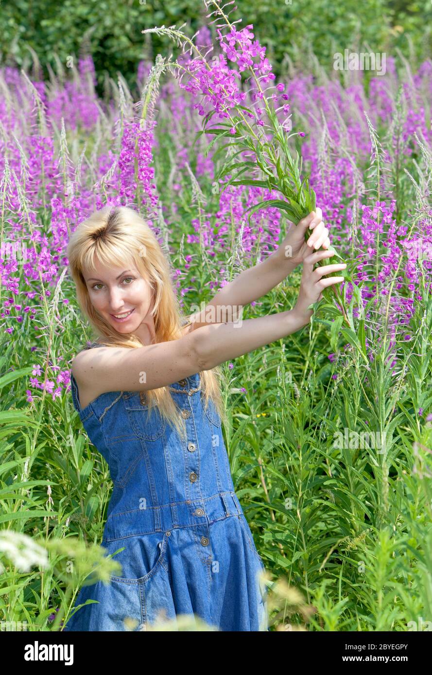 woman with bunch of willowherb flower in the field Stock Photo