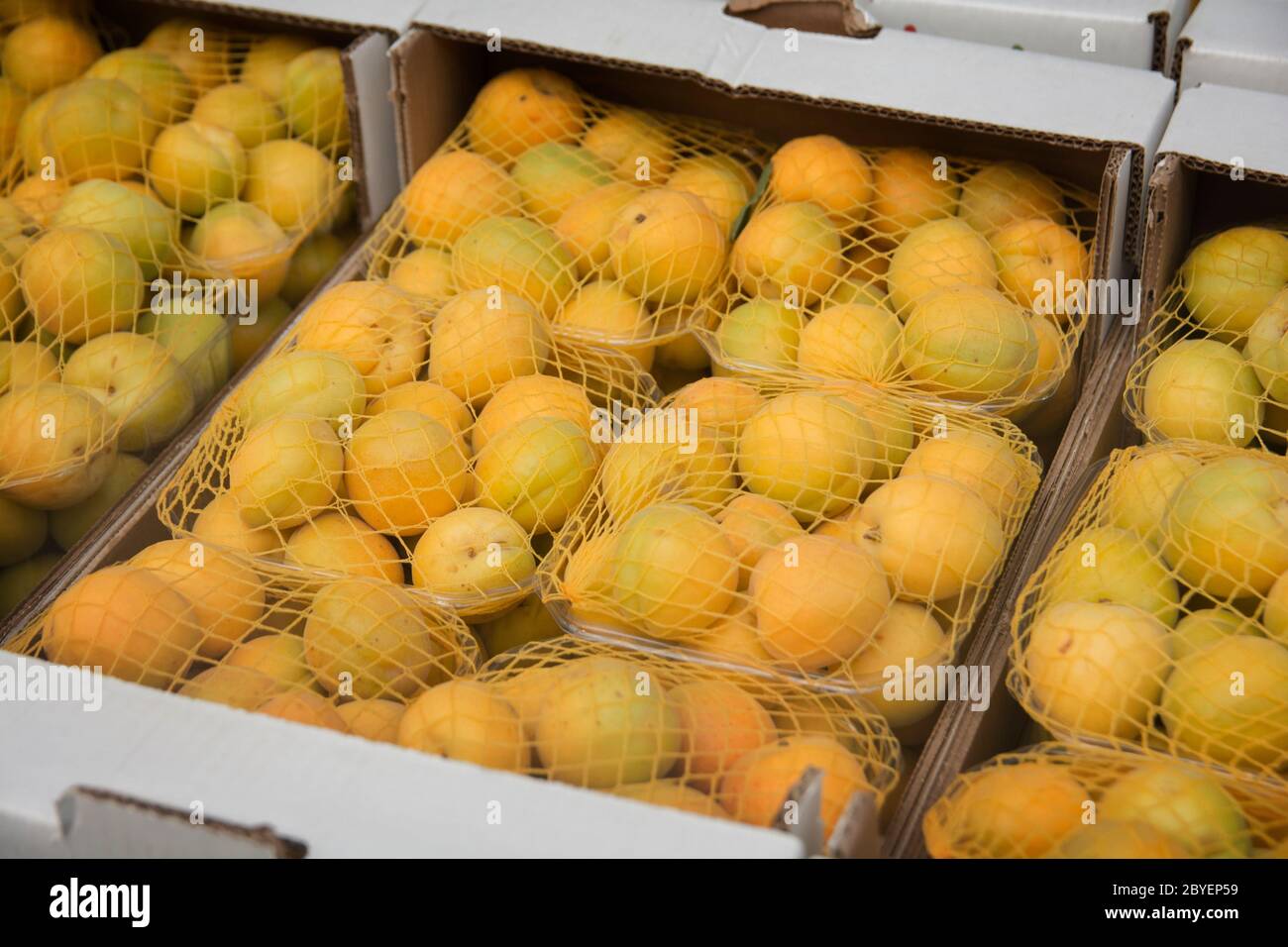 Boxes of Mirabelle plum fruits (Prunus domestica subsp. syriaca), presented for sale at the Mahane Yehuda Market, Jerusalem, Israel Stock Photo