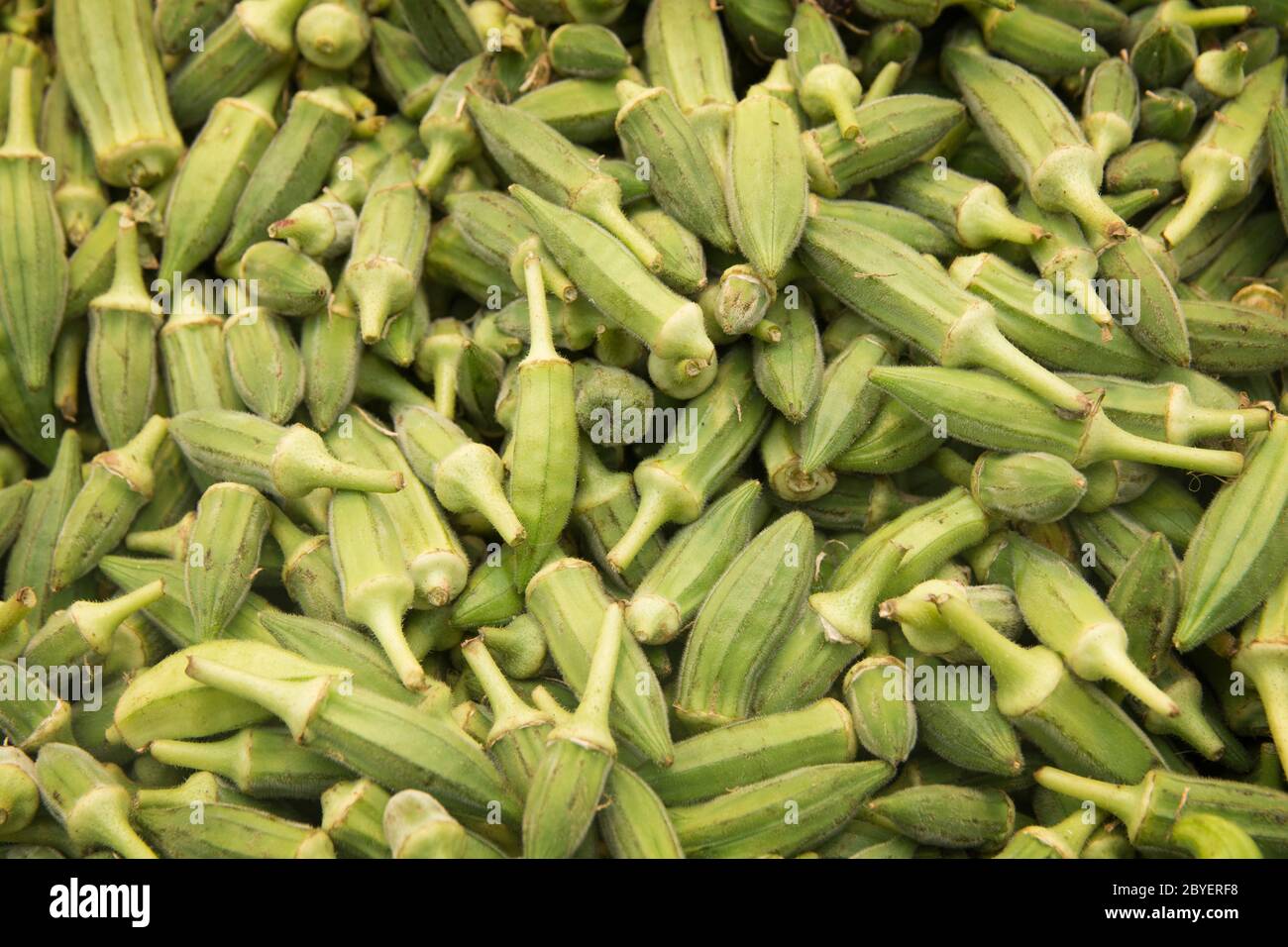 Pile of Okra seed pods, presented for sale in the Mahane Yehuda Market, Jerusalem Stock Photo