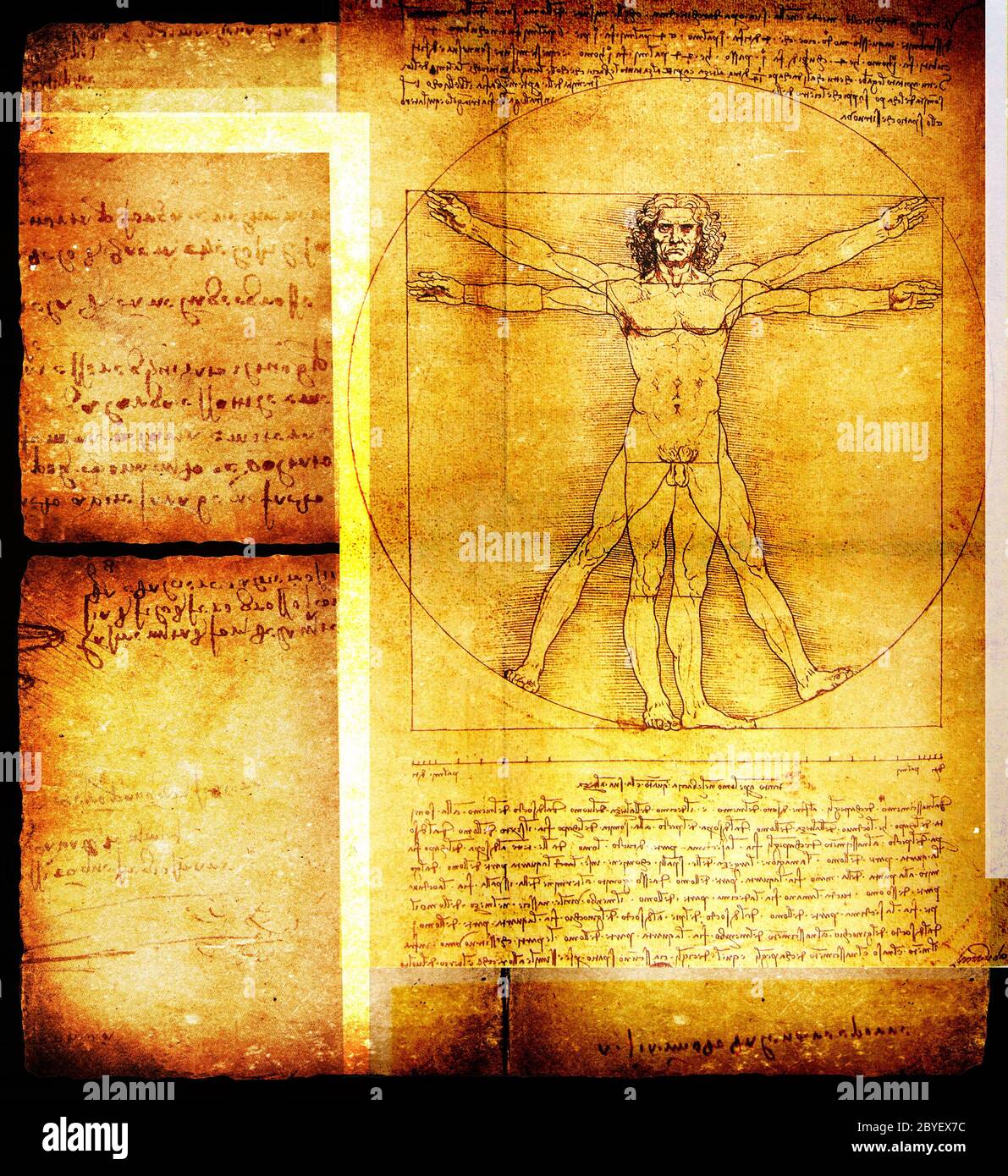 Photo of the Vitruvian Man by Leonardo Da Vinci from 1492 on textured