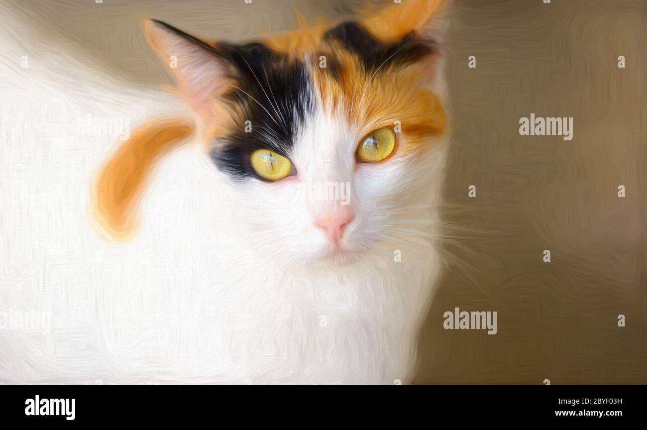 A Calico Cat With Green Eyes Is Looking Straight At The Camera Stock a-calico-cat-with-green-eyes-is-looking-straight-at-the-camera-stock