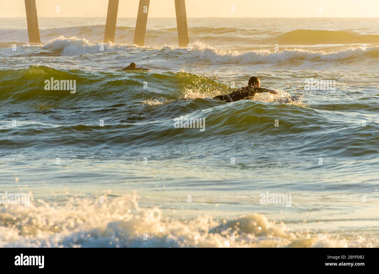 Florida surfers paddling out for a sunrise surf session at Jacksonville Beach, Florida. (USA) Stock Photo