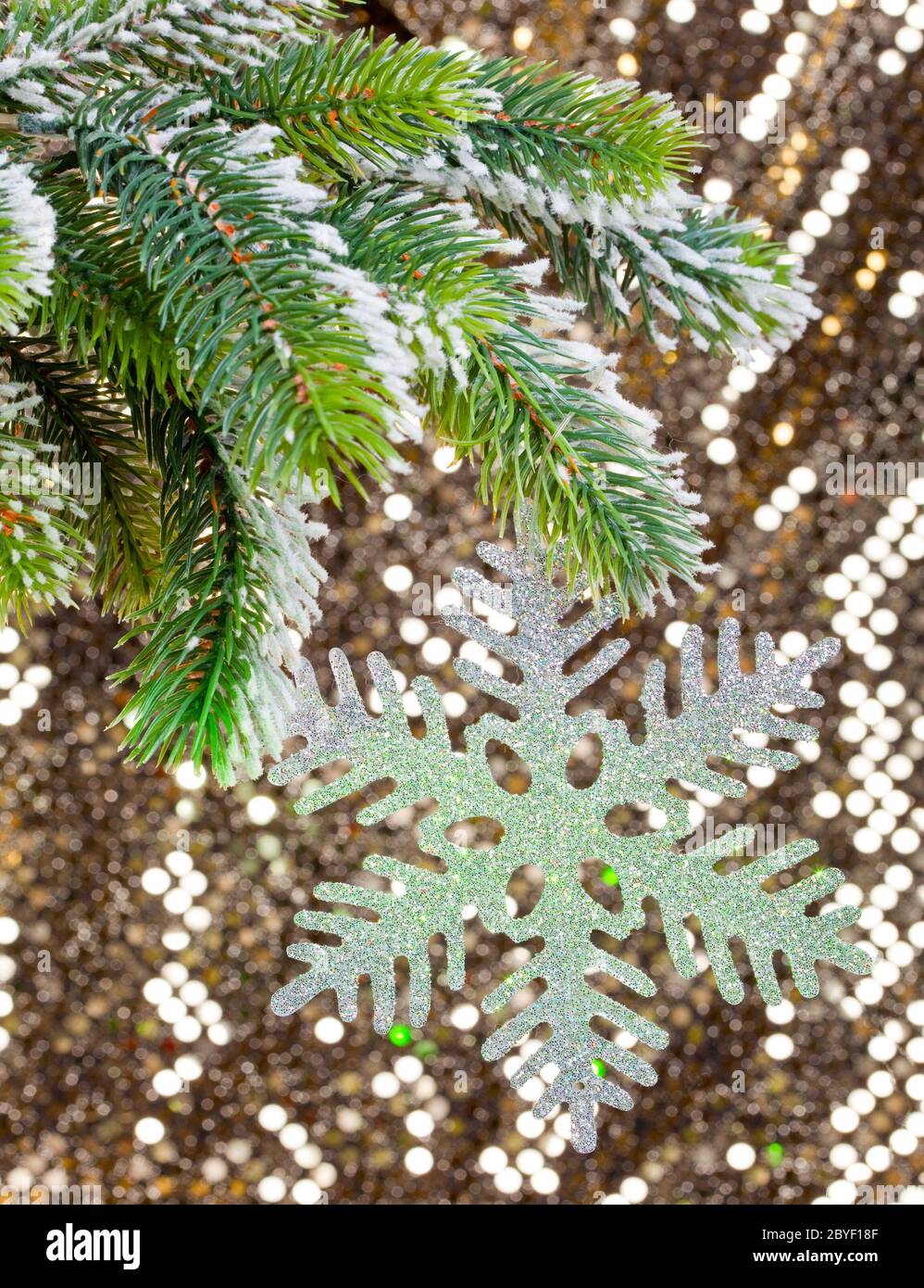 New Year's snow-covered branch of a Christmas tree Stock Photo