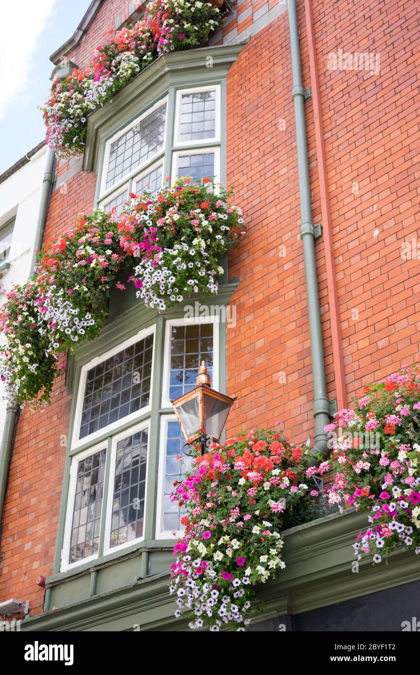 Ornamental Street Flowers Dublin Ireland Stock Photo Alamy