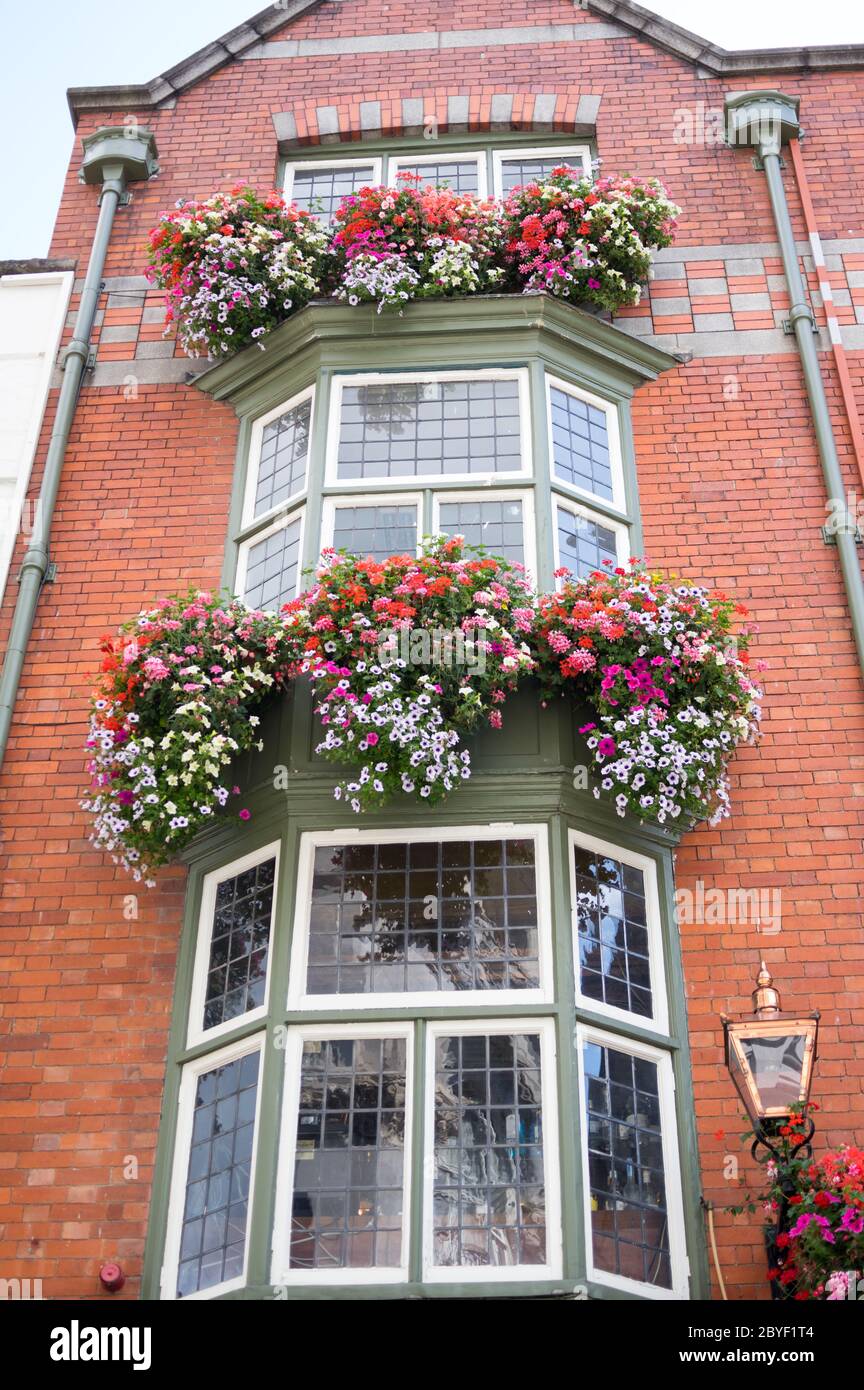 Ornamental Street Flowers Dublin Ireland Stock Photo Alamy