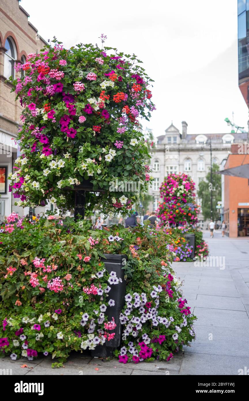 Ornamental Street Flowers Dublin Ireland Stock Photo Alamy