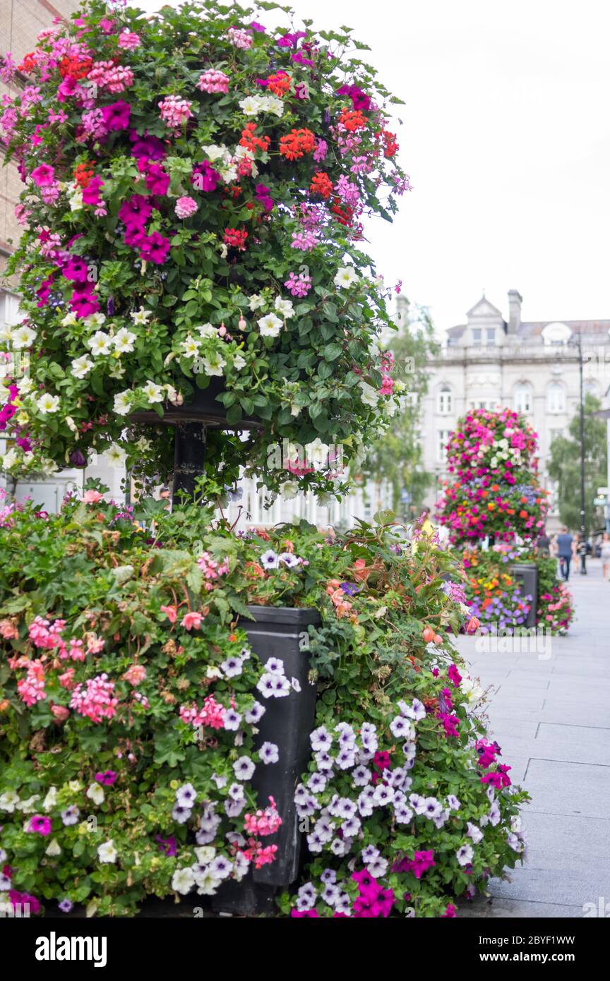 Ornamental Street Flowers Dublin Ireland Stock Photo Alamy