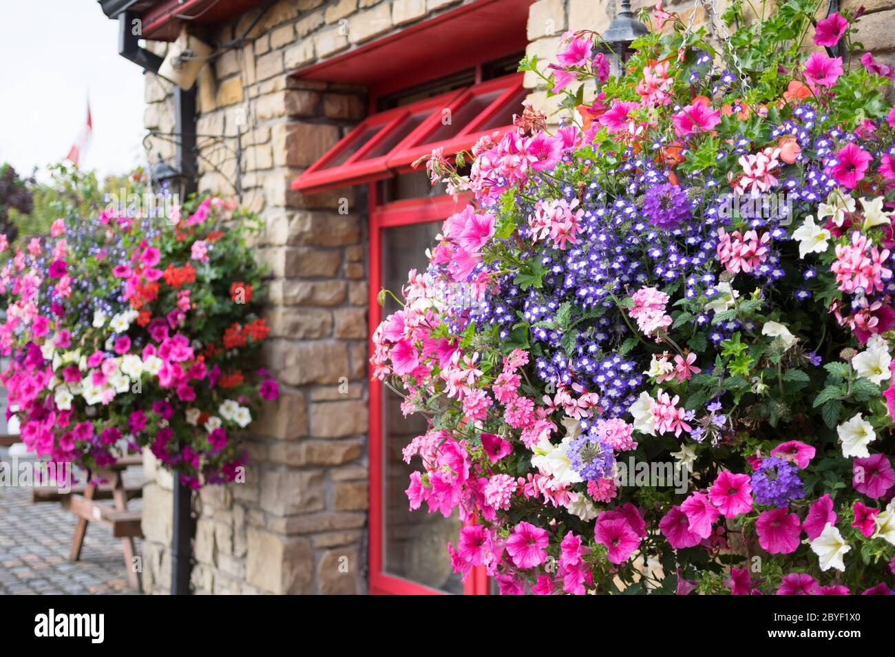 Ornamental Street Flowers Dublin Ireland Stock Photo Alamy