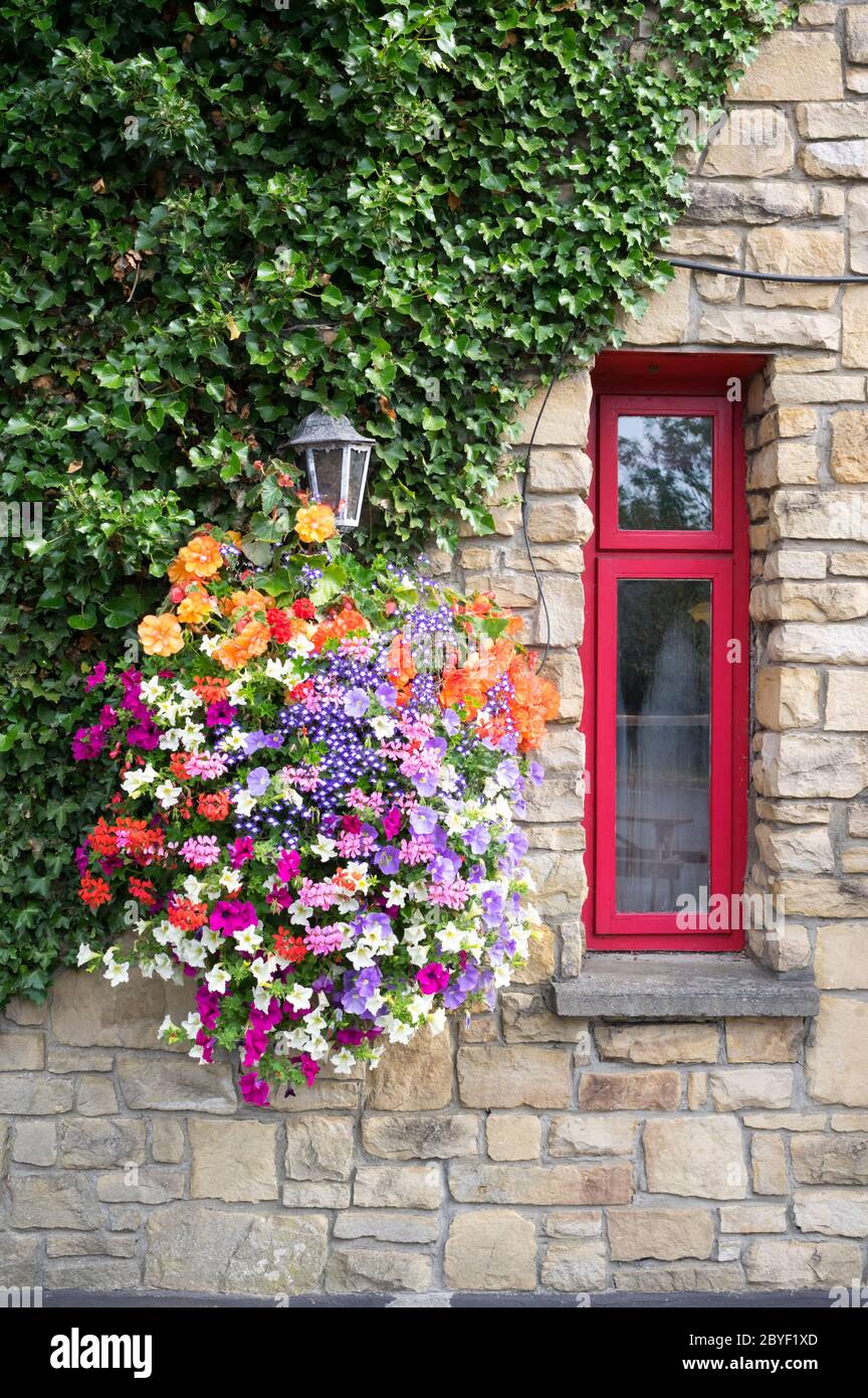 Ornamental Street Flowers Dublin Ireland Stock Photo Alamy