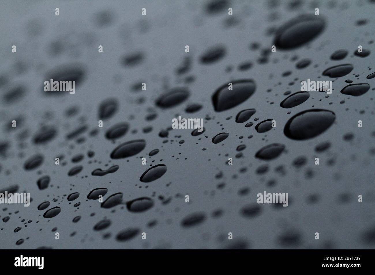 Water drops on dark surface - close up Stock Photo