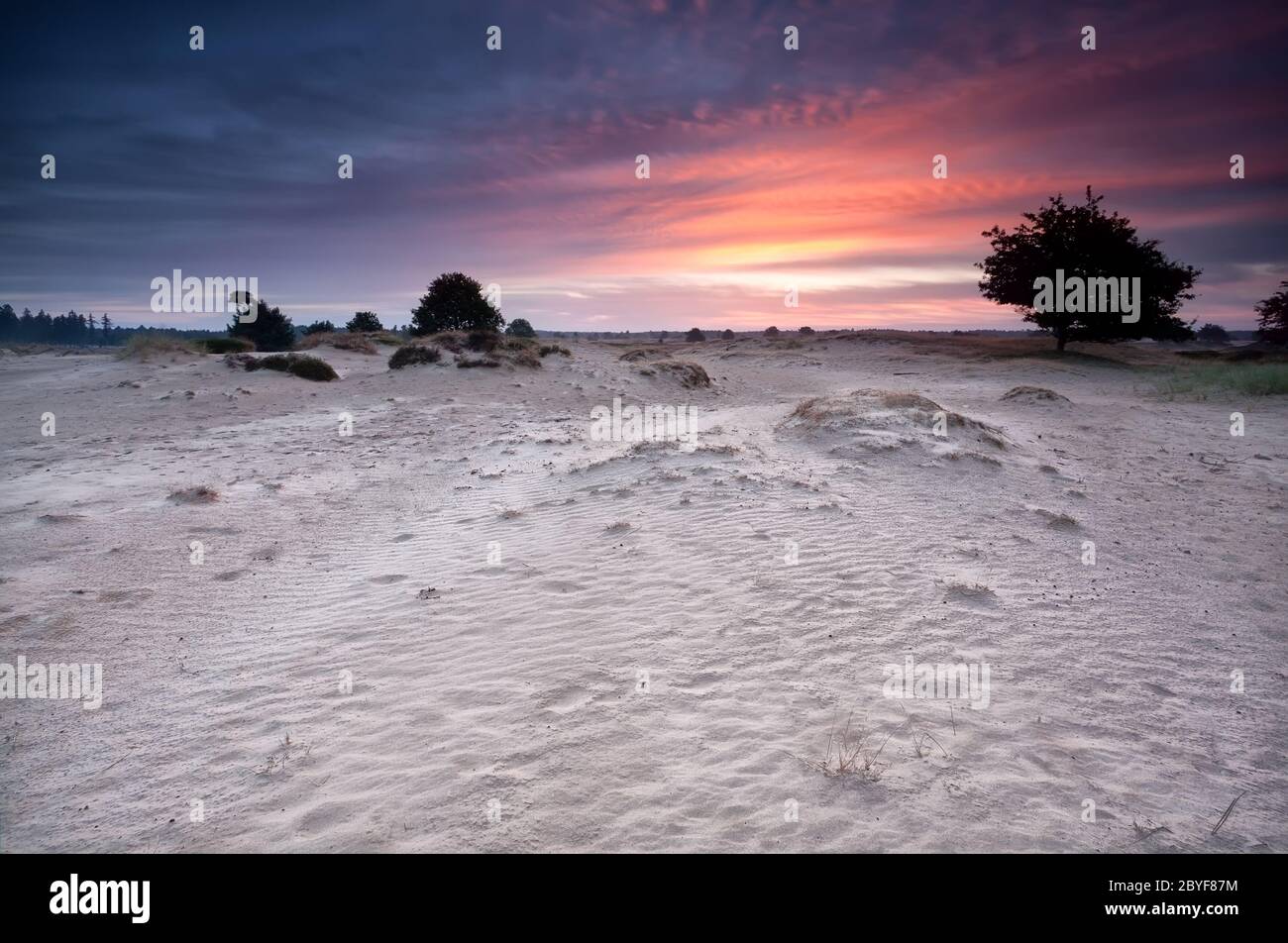 Dramatic sunrise over sand dunes Stock Photo - Alamy