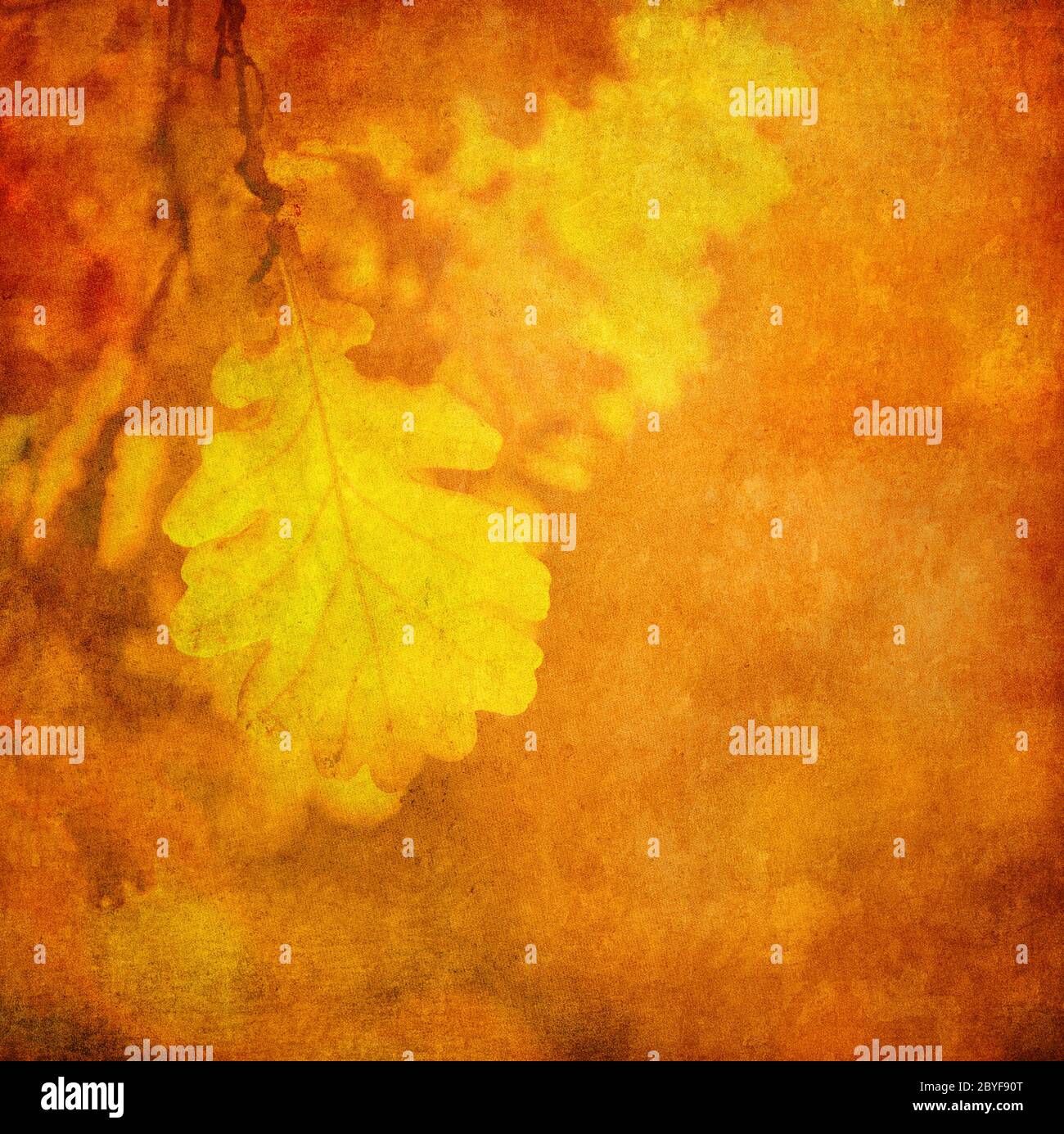 Grunge background with autumn leaves Stock Photo