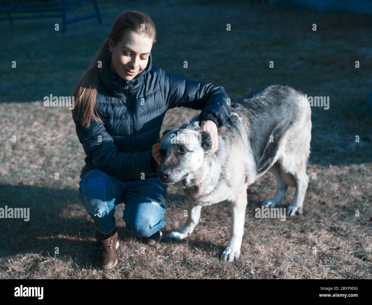 Young female hugging a dog, outdoor toned image Stock Photo - Alamy
