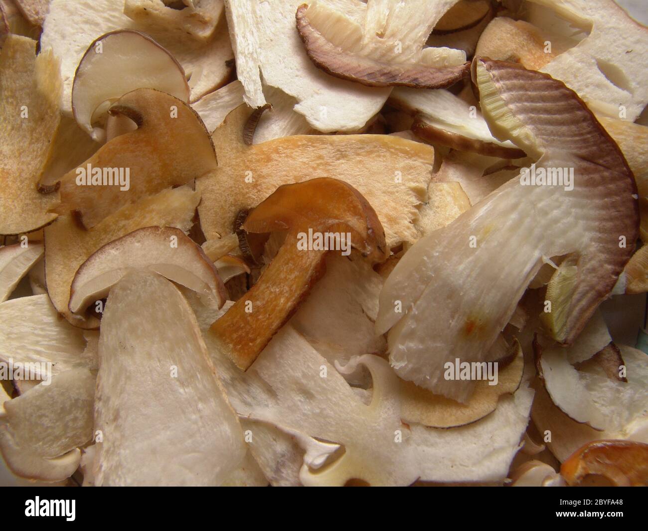 Sliced edible mushrooms Stock Photo