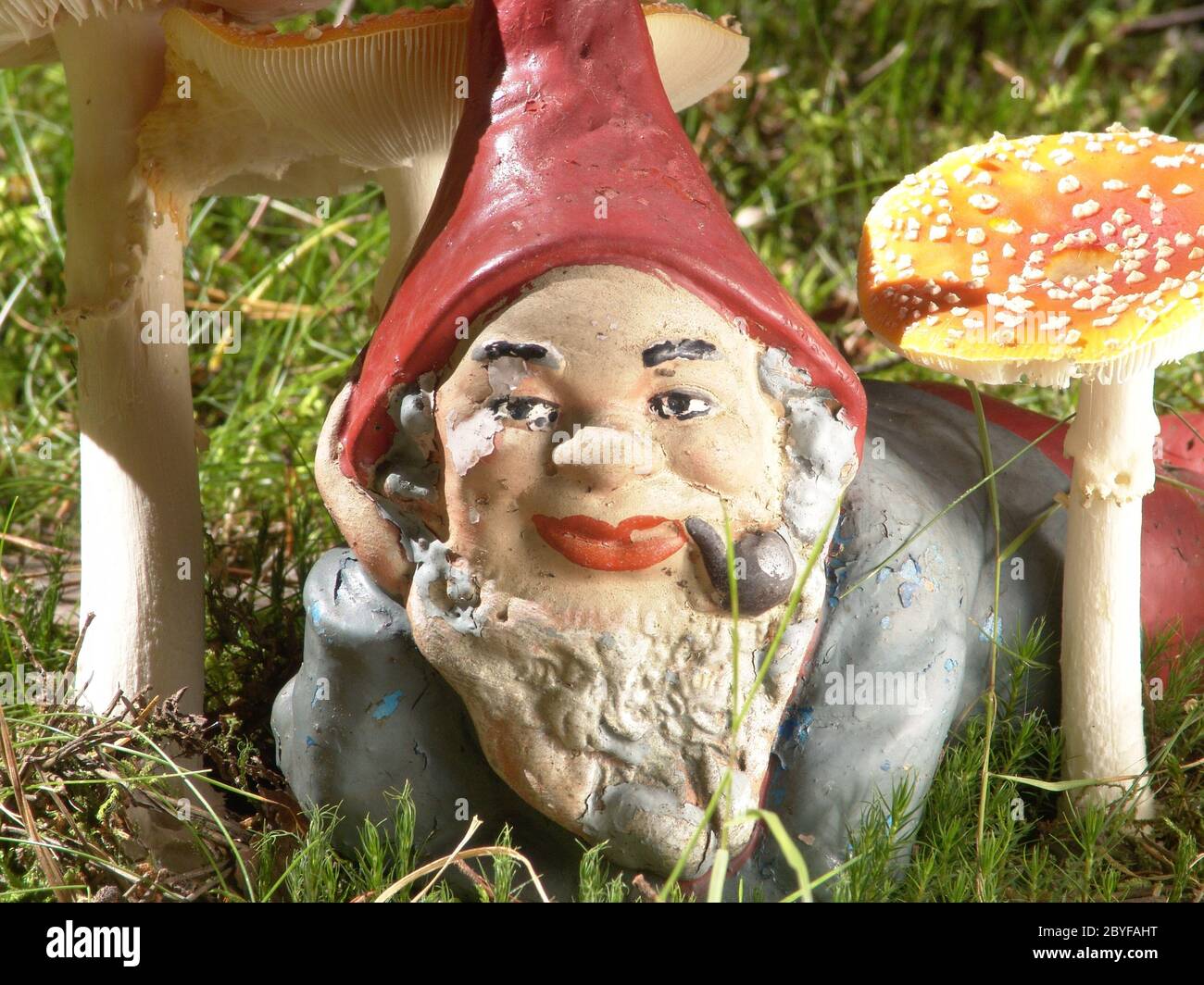 Garden gnome and mushrooms Stock Photo
