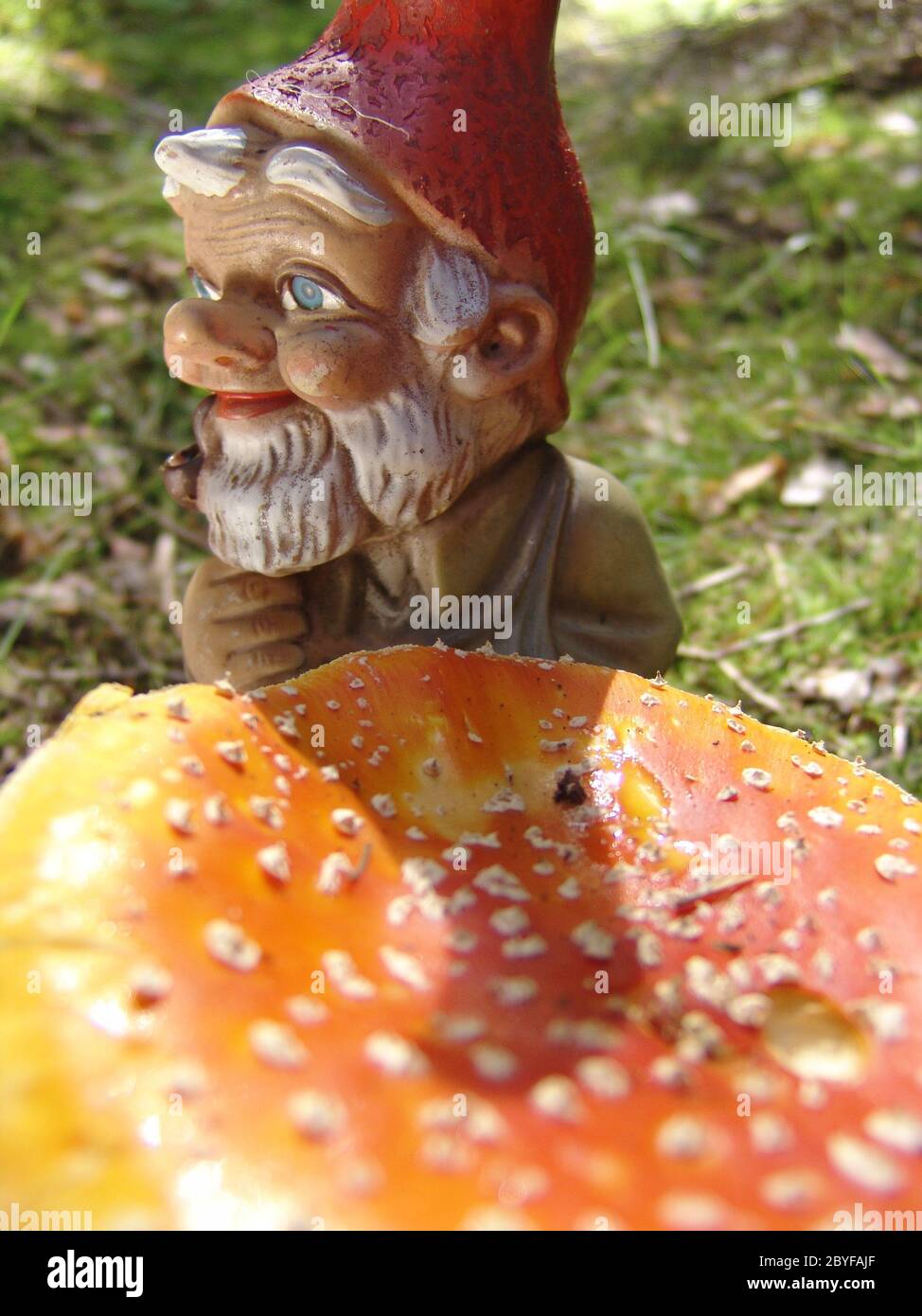 Garden gnome and mushrooms Stock Photo