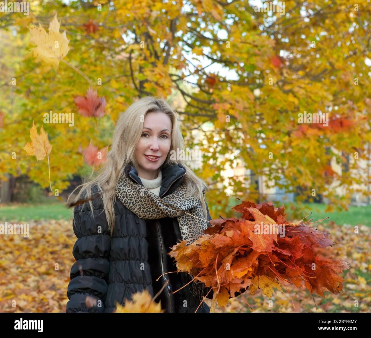 woman in autumn park with an armful of maple leave Stock Photo - Alamy