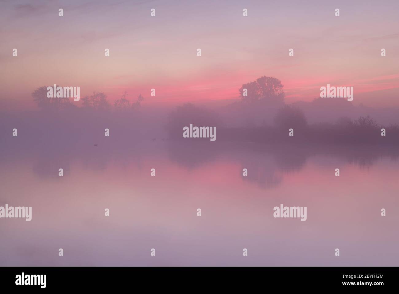 red  misty sunrise over calm lake Stock Photo