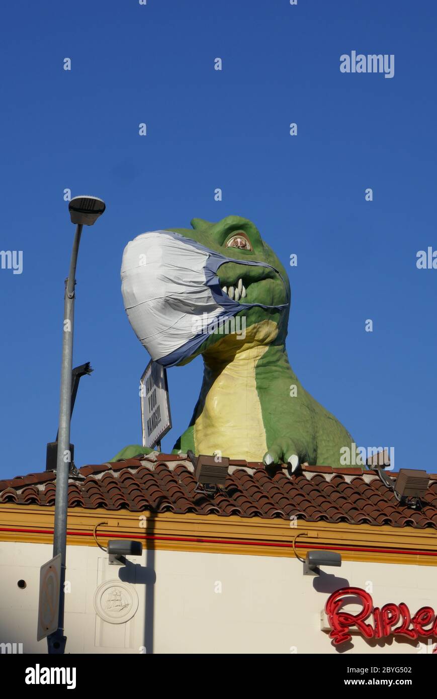 Download Dinosaur Mask High Resolution Stock Photography And Images Alamy PSD Mockup Templates