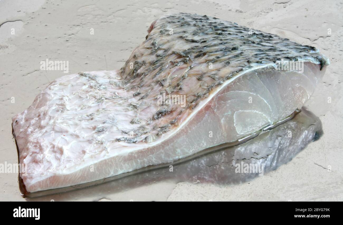 Raw sea bass Stock Photo Alamy