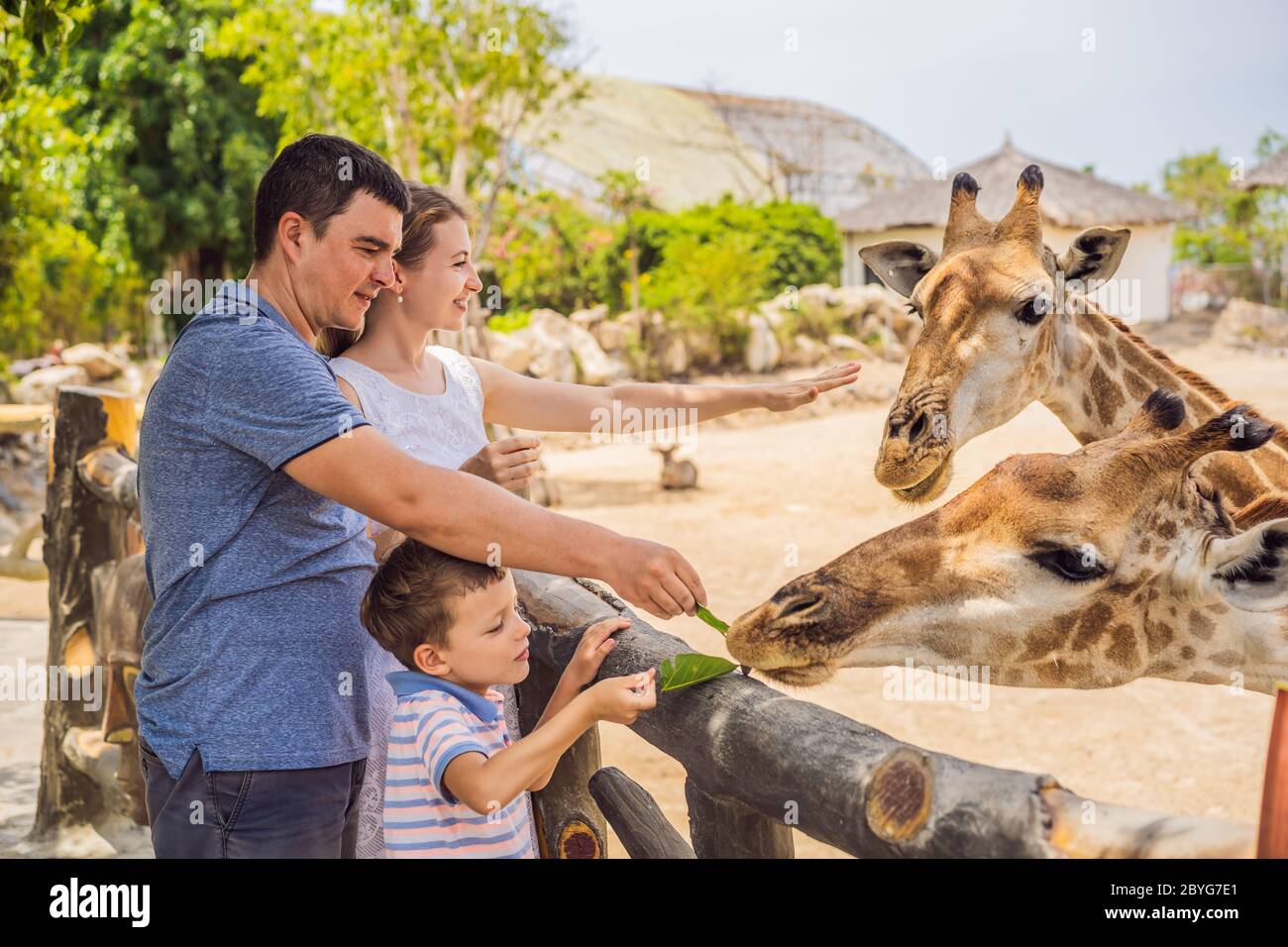 Happy mother, father and son watching and feeding giraffe in zoo. Happy  family having fun with animals safari park on warm summer day Stock Photo -  Alamy