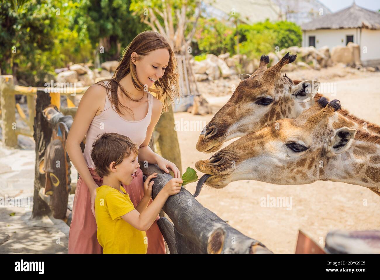 Happy mother and son watching and feeding giraffe in zoo. Happy family having fun with animals safari park on warm summer day Stock Photo - Alamy Happy mother and son watching and feeding giraffe in zoo. Happy family having fun with animals safari park on warm summer day Stock Photo - Alamy