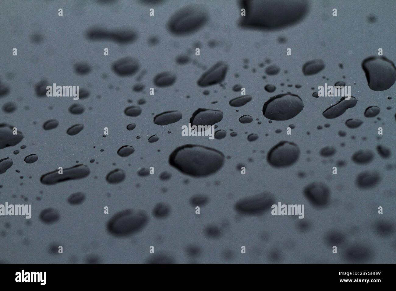 Water drops on dark surface - close up Stock Photo