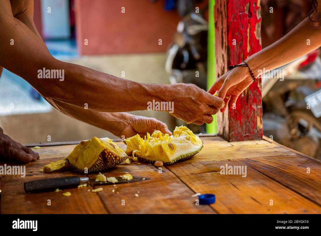 photo of hands of local balinese man cut exotic fruit durian in his house and share with tourist. Bali, Indonesia Stock Photo
