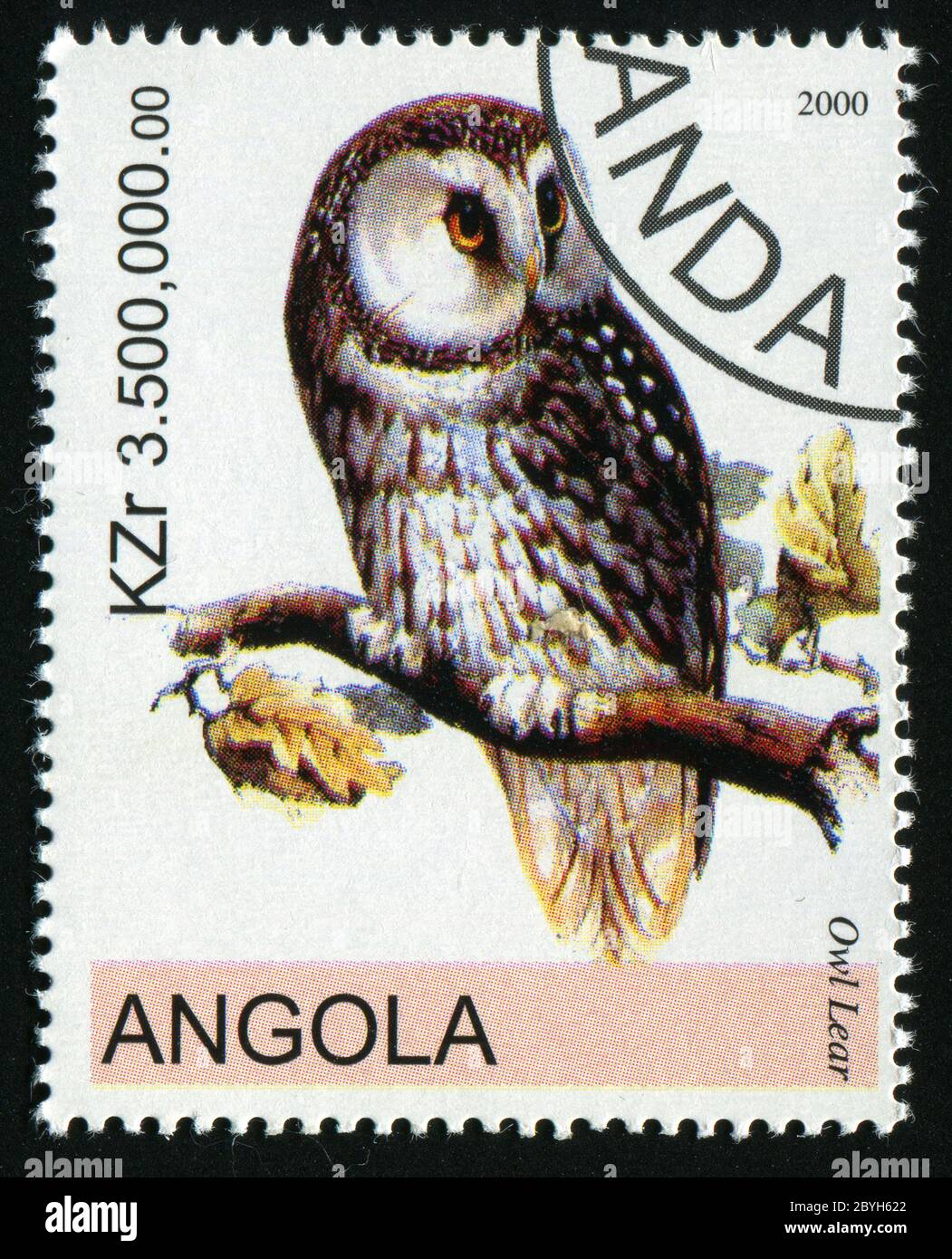 ANGOLA - CIRCA 2000: Barn owl posing on branch, circa 2000. Stock Photo