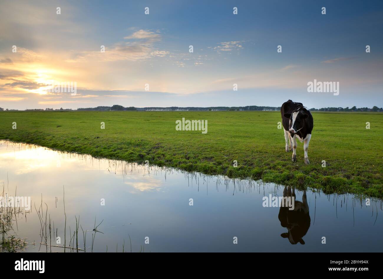 Sun reflected on surface river hi-res stock photography and images - Alamy