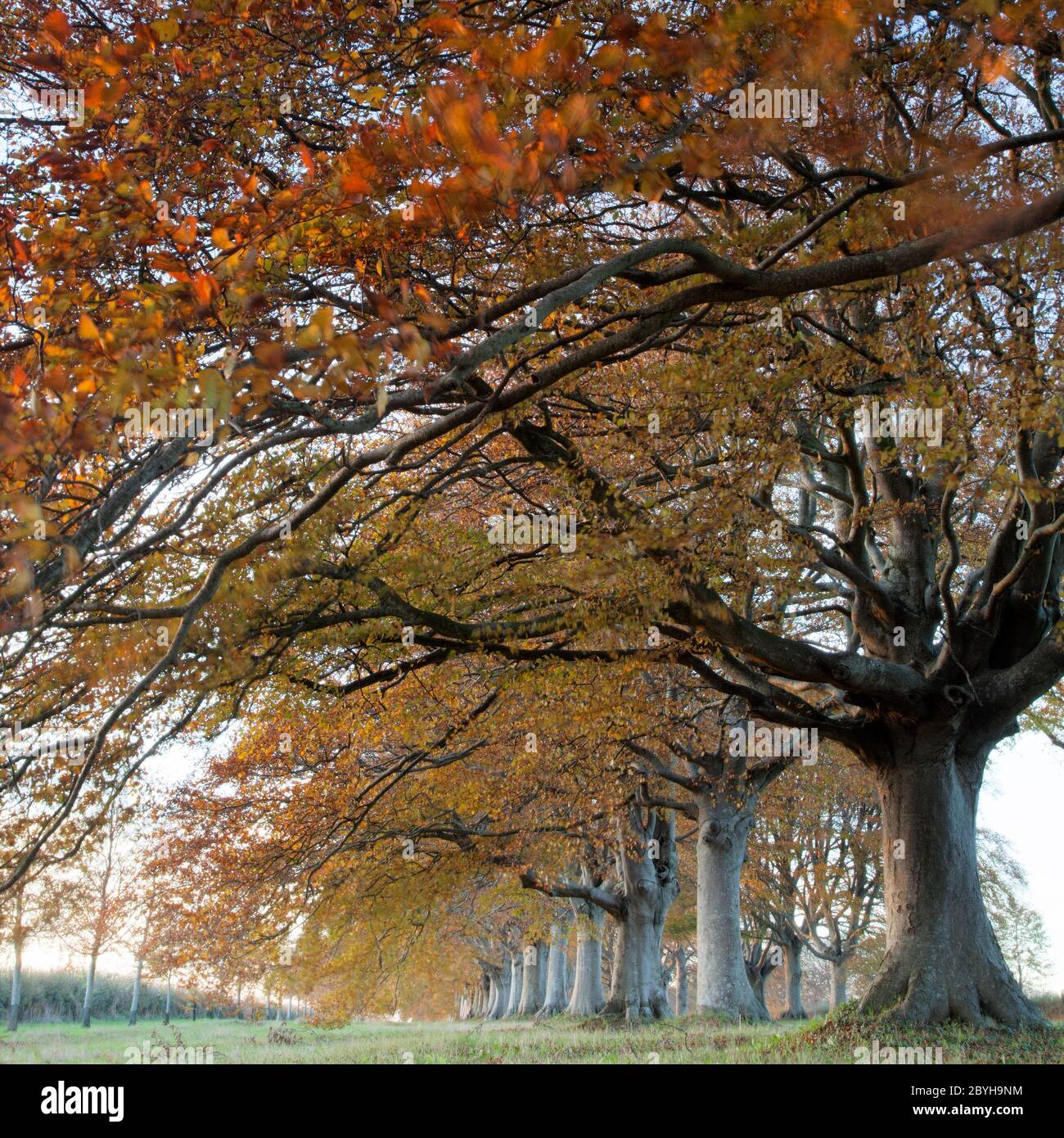 Natural Earth Colours High Resolution Stock Photography and Images - Alamy