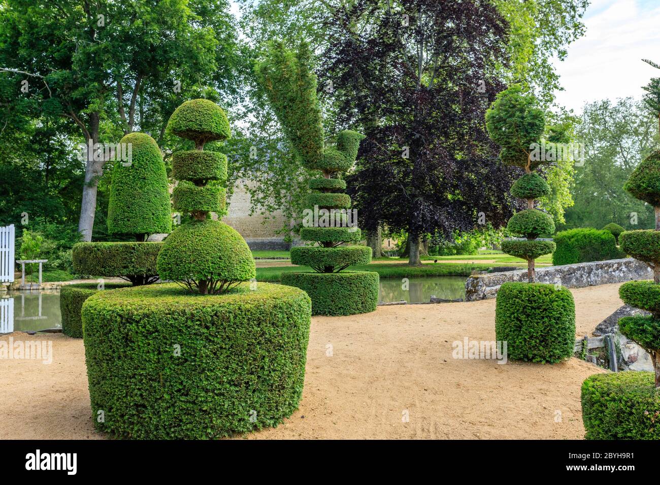 France, Cher, Berry, Route Jacques Coeur, Ainay le Vieil, Chateau d'Ainay le Vieil, castle park and garden with yews topiaries (Taxus baccata) // Fran Stock Photo