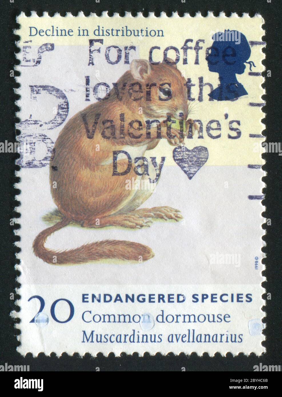 GREAT BRITAIN - CIRCA 1997: stamp printed by Great Britain, shows Endangered Species. Common dormouse, circa 1997. Stock Photo