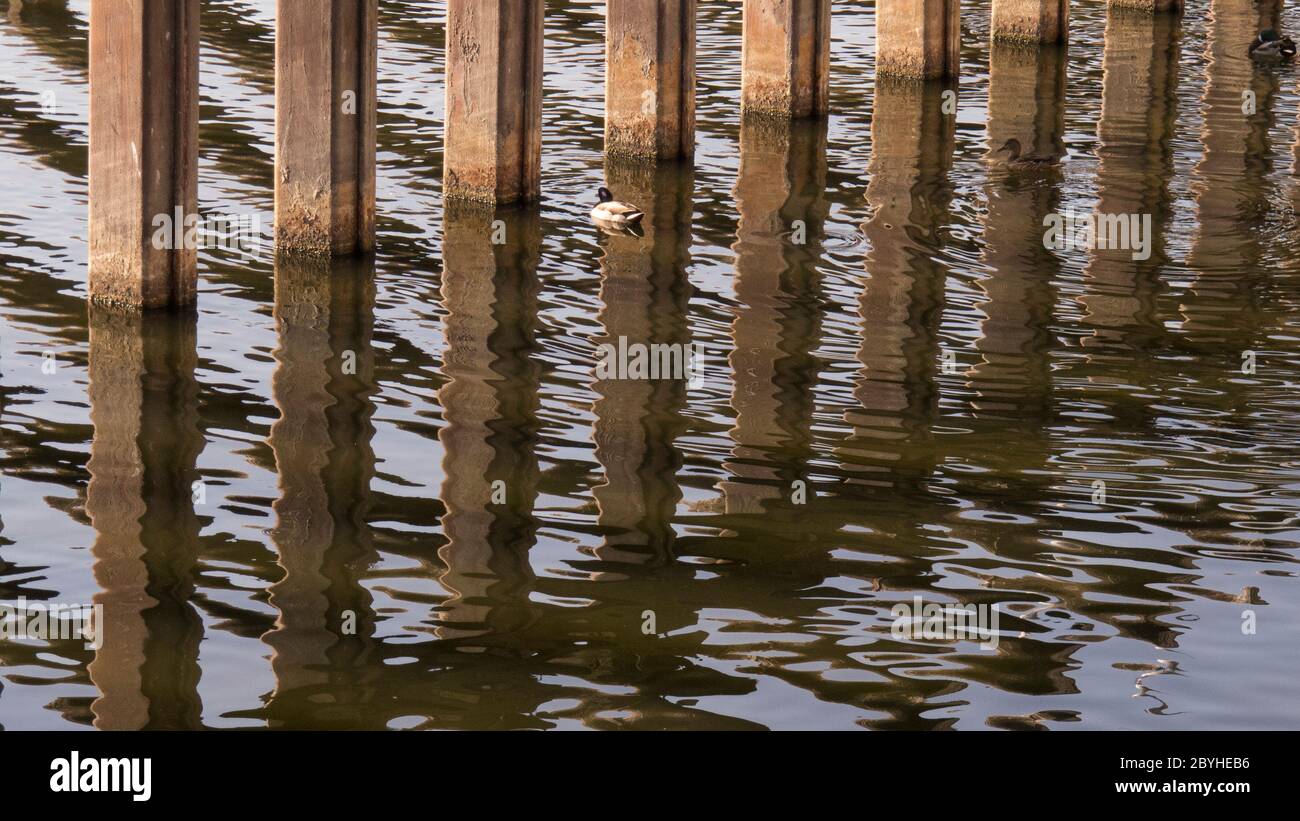 Wooden posts in river with ripples on the water Stock Photo Alamy