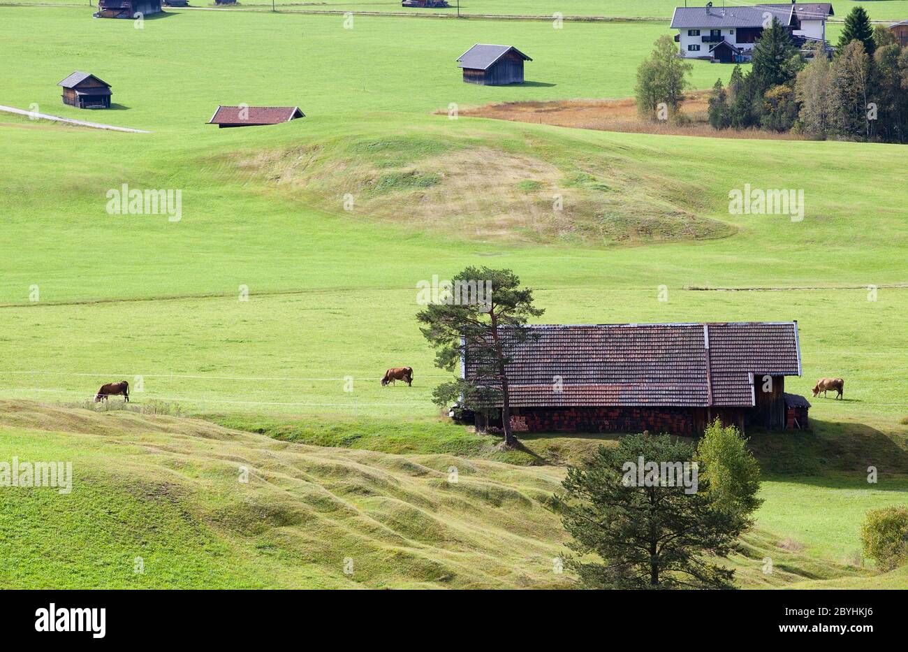 Bavarian farmland in Germany Stock Photo Alamy