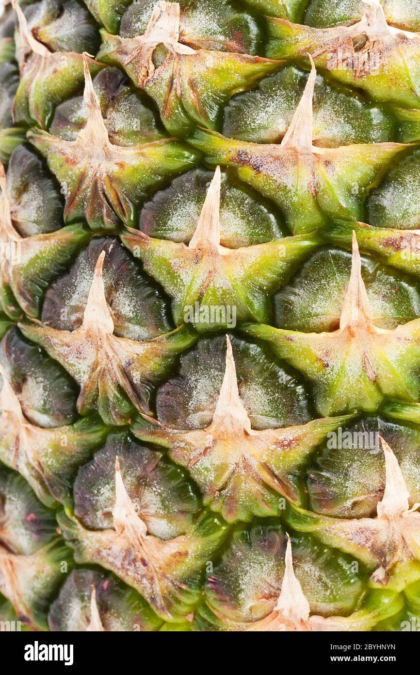 Pineapple Stock Photo