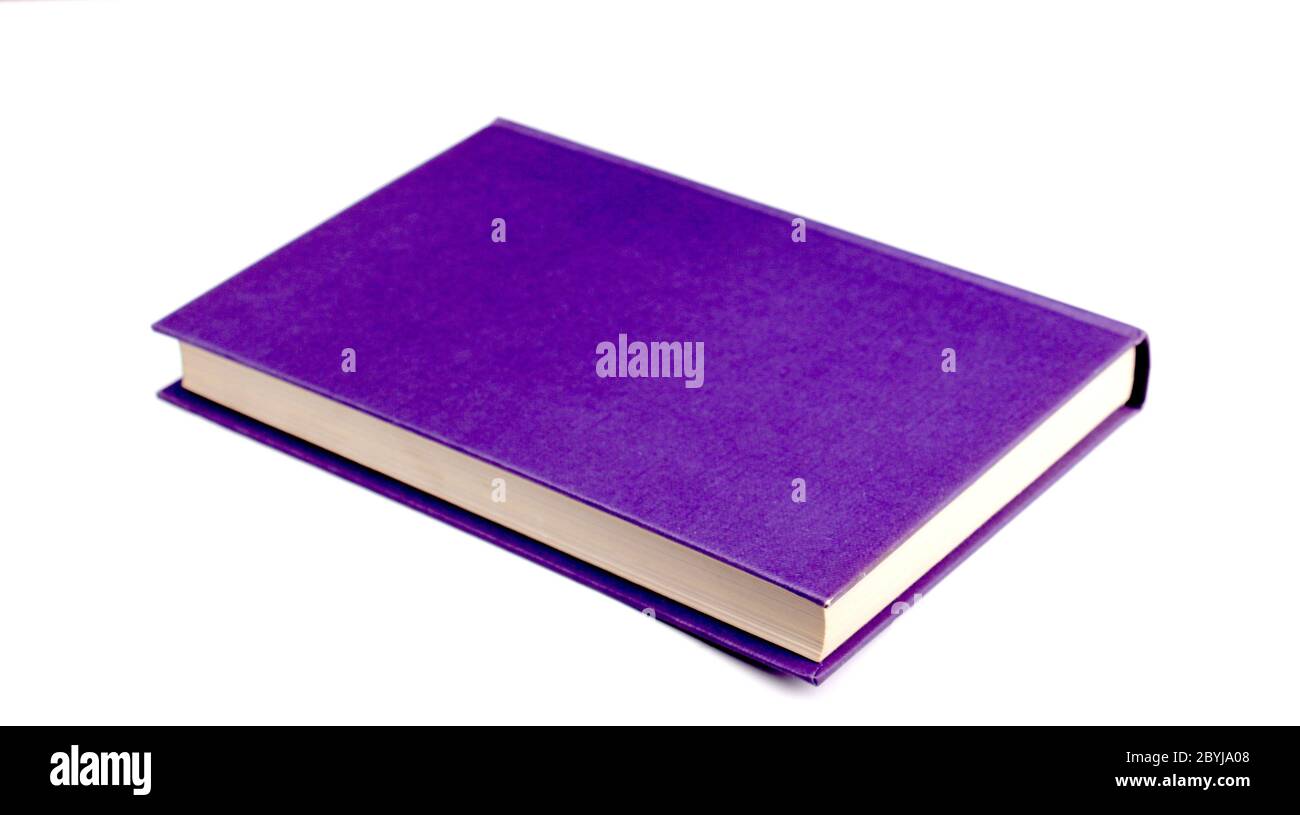 洋書 16 Photographers Portraits Purple Books Portraits 16 Photographers L'esprit Frappeur Purple Books