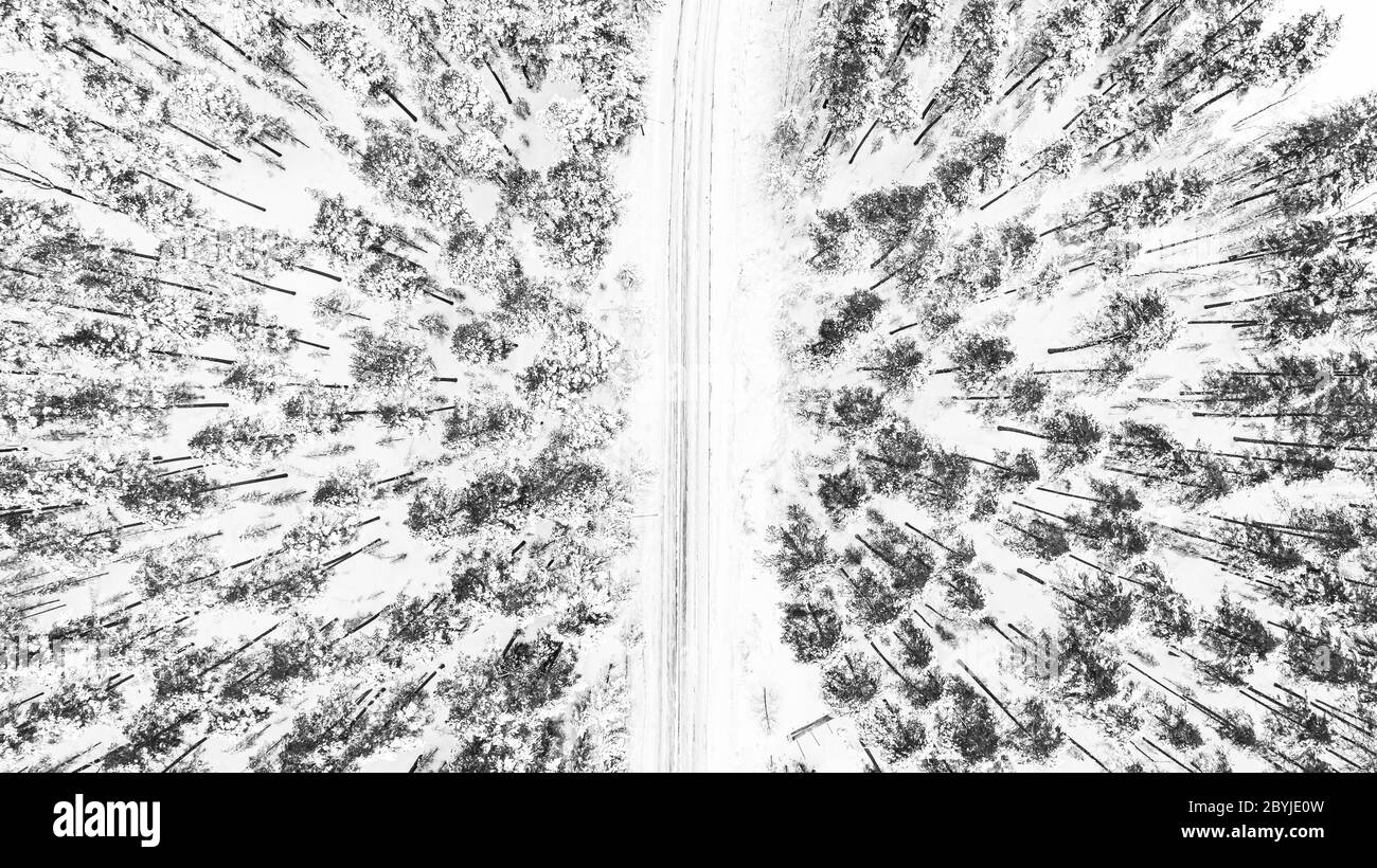 Birds eye view pine Black and White Stock Photos & Images - Alamy