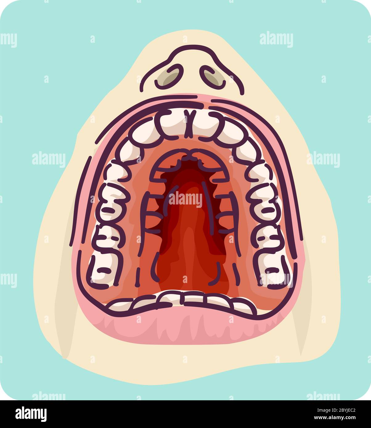 High Arched Palate Main Causes And How To Fix It MGA Dental Clinic In