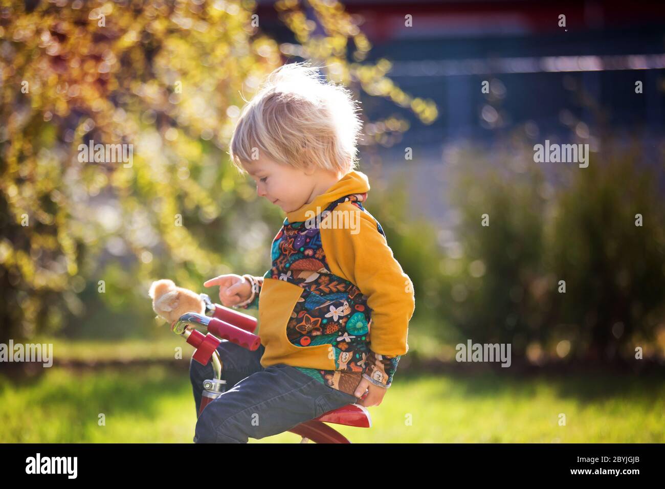 Sweet cute blond child, toddler boy, riding tricycle with little chicks ...