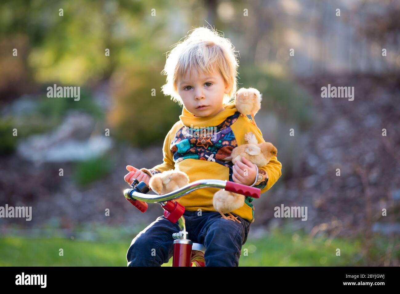 Bike chicken chickens hi-res stock photography and images - Alamy