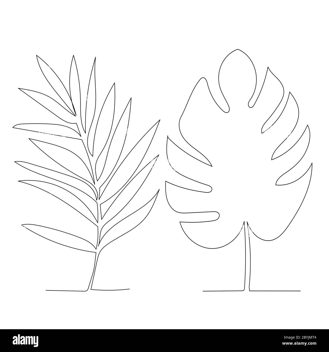 white background, palm leaf continuous line drawing Stock Vector Image &  Art - Alamy