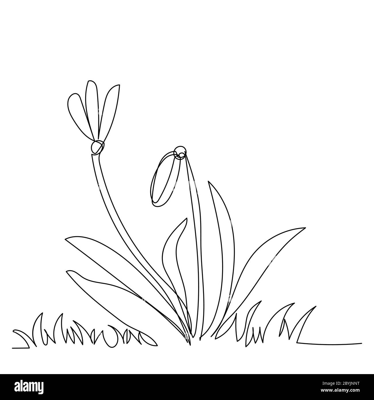 single line drawing continuous, flower with grass Stock Vector Image
