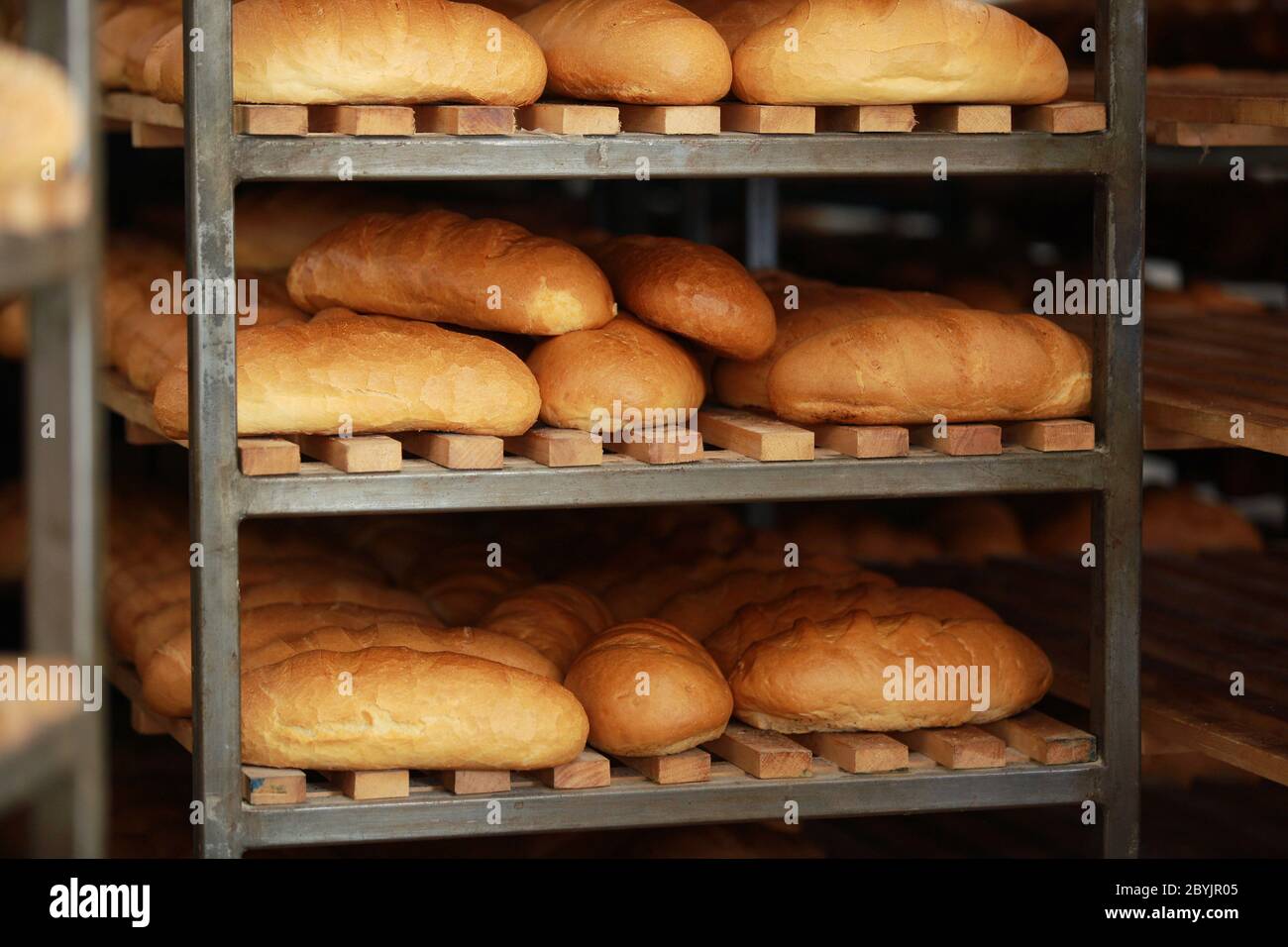 baked fresh bread on shelf. buns from the oven. Baking bread. Transportation of baking
