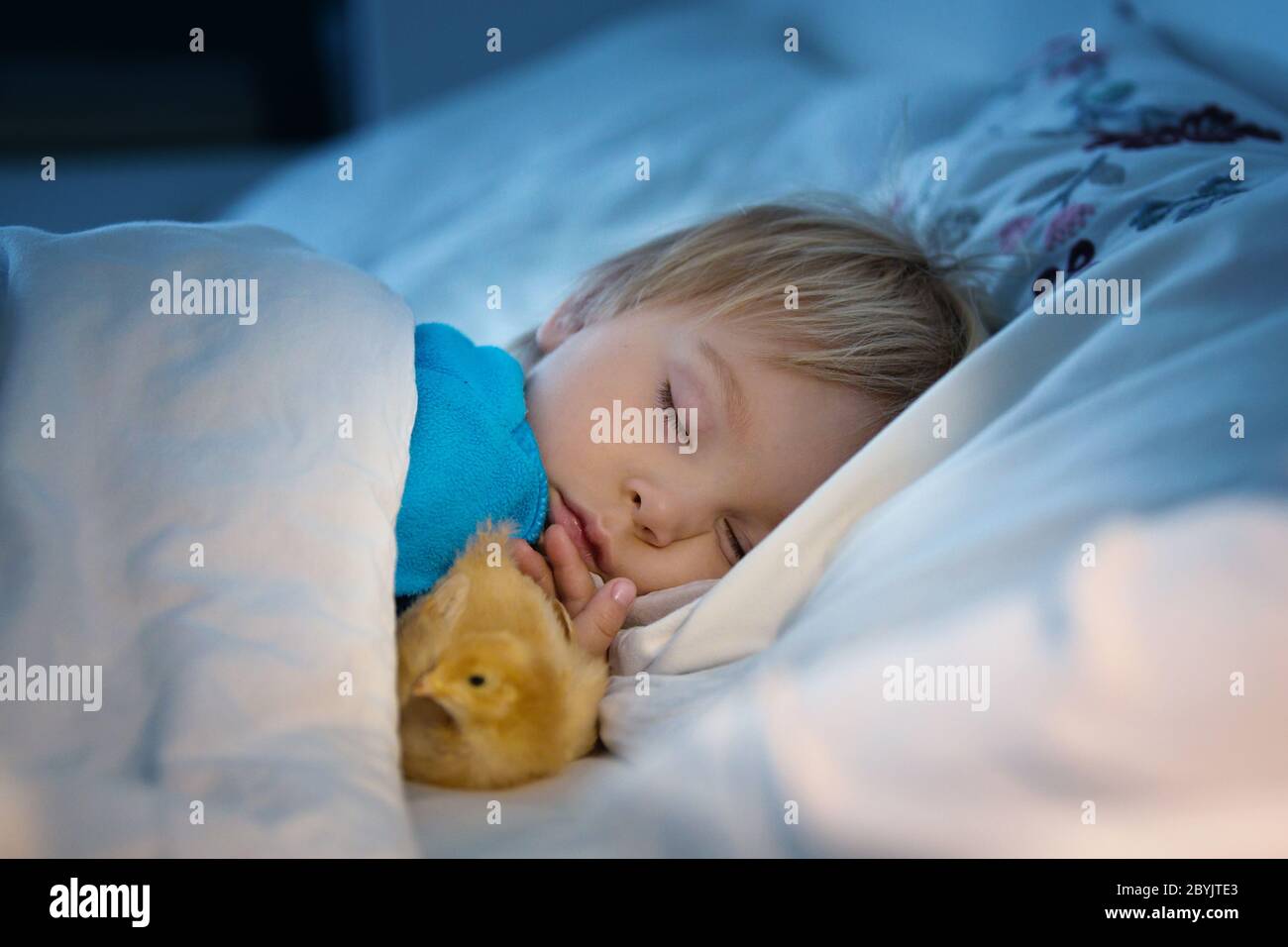 next toddler bed