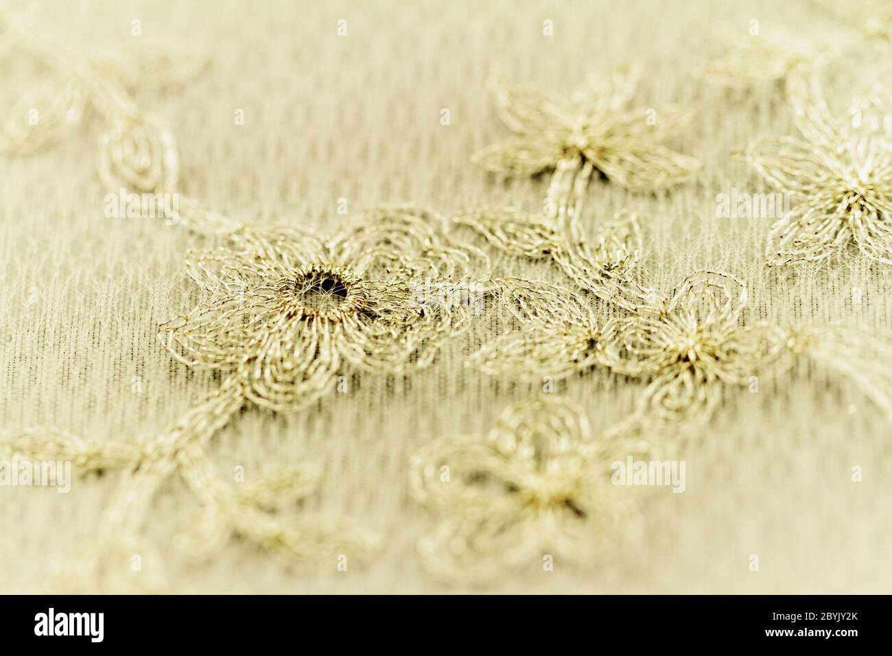 Beautiful lace with flower pattern - macro photo Stock Photo
