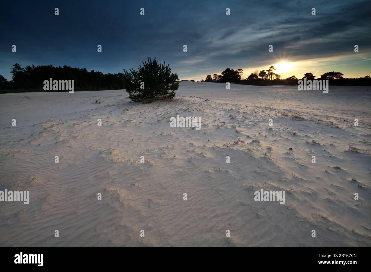 gold evening sunshine over sand dunes Stock Photo