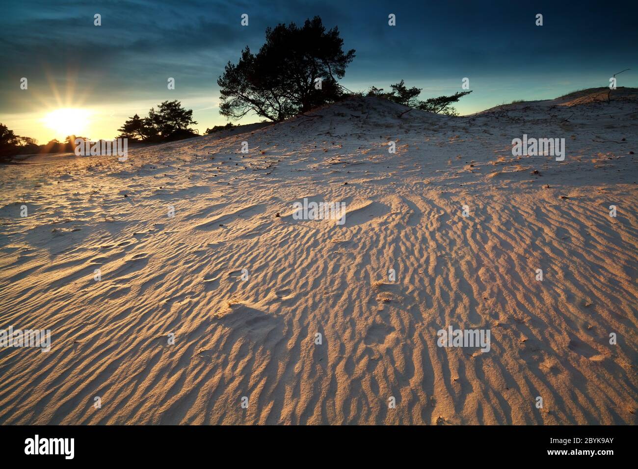 gold evening sunshine over sand dunes Stock Photo