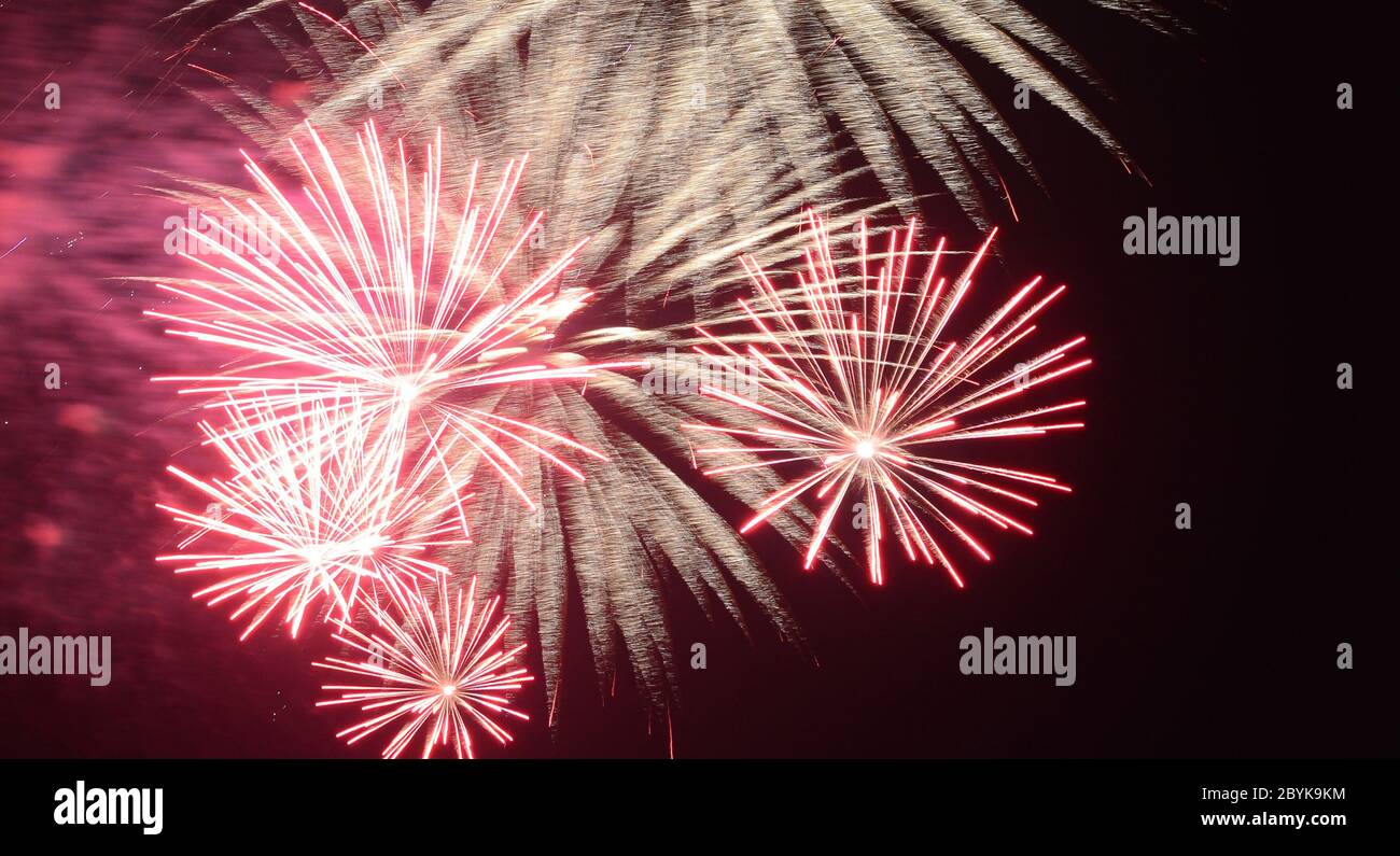 firework Stock Photo